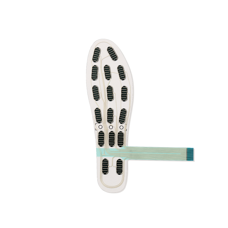เซ็นเซอร์รองเท้าอัจฉริยะ FS-IN - Smart Insole Pressure บทวิจารณ์และราคา